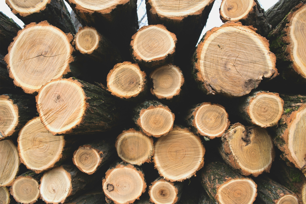 diy log cabin kits